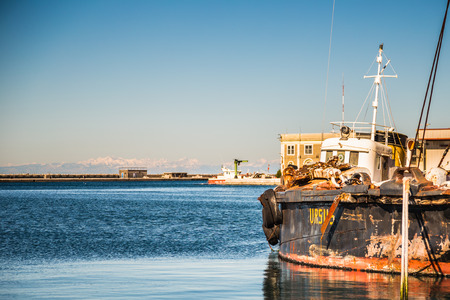 An ancient crane named \\\\\\\\\\\\\\\"Ursus\\\\\\\\\\\\\\\" in the port of triesteの写真素材