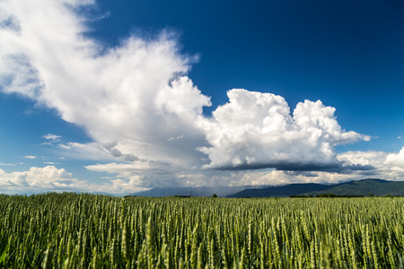 a storm is growin up over the fields of italyの写真素材