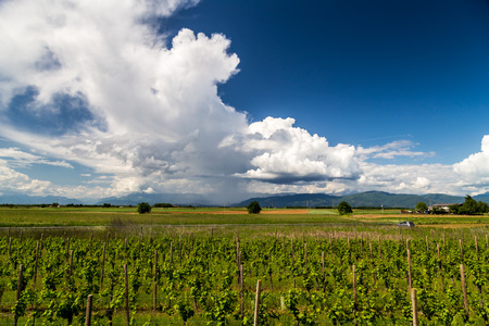 a storm is growin up over the fields of italyの写真素材