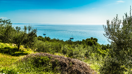 Canovella Beach in Trieste Gulf in a sunny day of Augustの写真素材