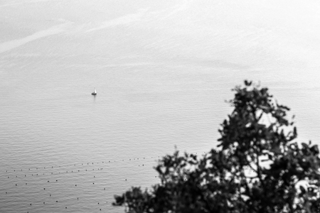 evening in the bay of Trieste in a summer dayの写真素材