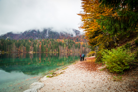 two girls walking in the forest in the italian alpsの写真素材