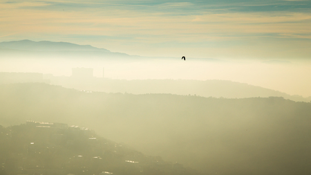Autumn morning at the city of Trieste with the bay covered by fogの写真素材