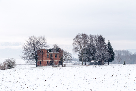 an abandoned farm in the italian countryside douring winterの写真素材