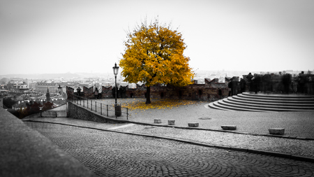 sun goes down and night starts in Prague in an autumn dayの写真素材