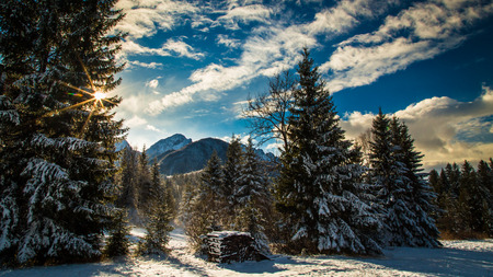 First snow of the winter in the italian alps