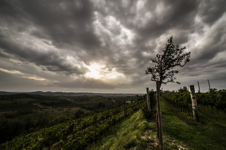 a storm is growin up over the fields of italyの写真素材