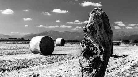 storm is coming on a field with hay balesの写真素材
