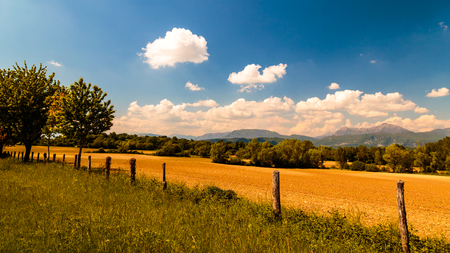 Countryside of Italy in a sunny day of mayの写真素材