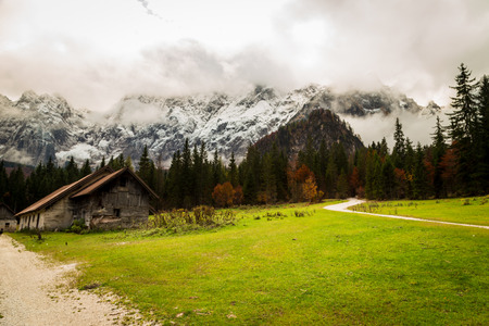 Fall in the italian alps in a misty dayの写真素材