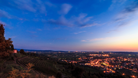 Sun goes down on the grapevine fields of Italyの写真素材