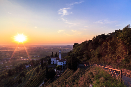The sun goes down on the italian vineyards in an autumn dayの写真素材