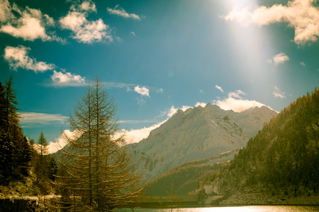 wood full of snow in the italian alpsの写真素材