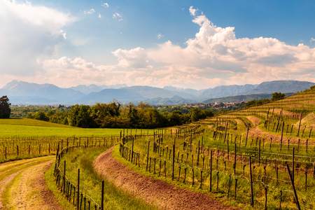 An old village in the fields of Italyの写真素材