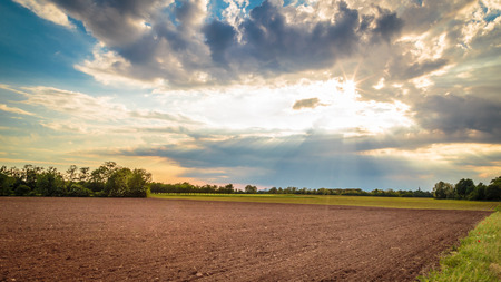 an evening storm in the italian countrysideの写真素材