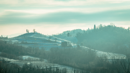 snow and ice in the vineyard of Friuli, Italyの写真素材