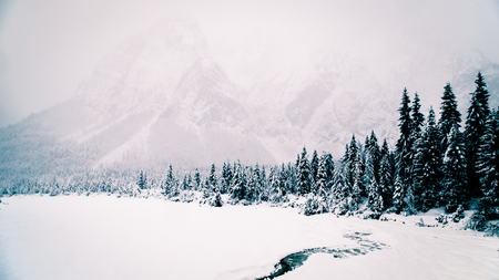 The first snow of the year in the italian alpsの写真素材