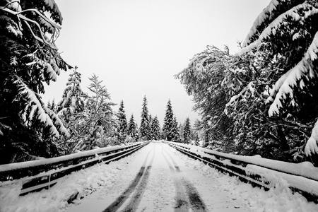 The first snow of the year in the italian alpsの写真素材