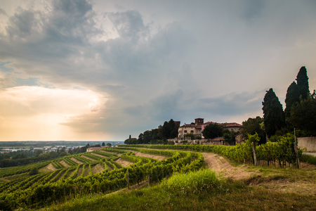 Storm is approaching the vineyards in the fields of Collio, Italyの写真素材