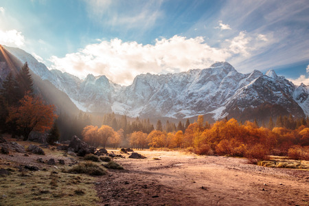 sun rise behind the peak in a colorful autumn morningの写真素材