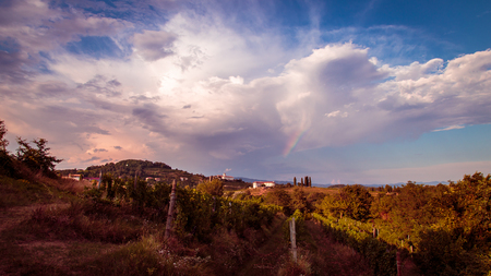 Sunset near the Abbey of Rosazzo, Friuli, Italy in a summer dayの写真素材
