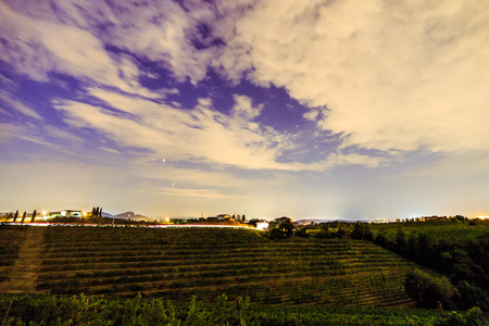 Evening in the fields of Rosazzo, Friuli, Italy during an hot summerの写真素材