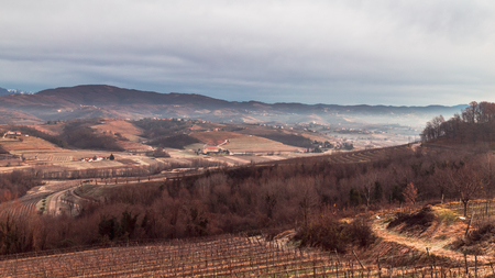Foggy winter sunrise in the collio friulano, italyの写真素材