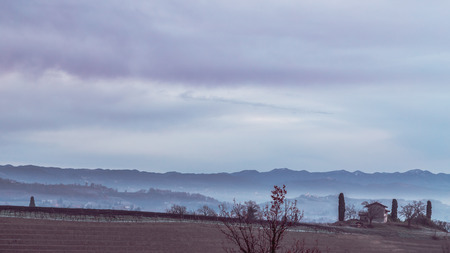 Foggy winter sunrise in the collio friulano, italy