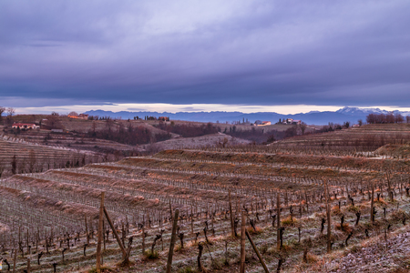 Foggy winter sunrise in the collio friulano, italyの写真素材