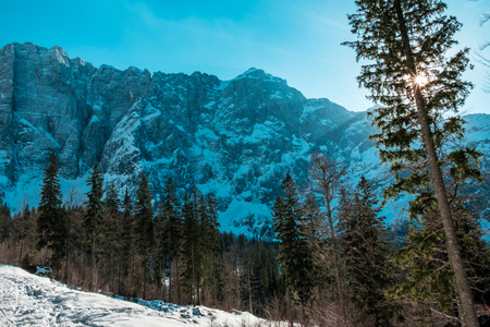 Sunset in front of the mount Mangart in the Italian Alpsの写真素材