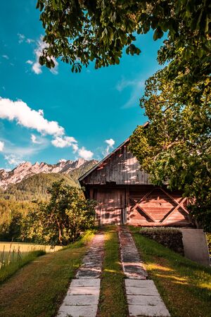Summer day in an alpine valley of Friuli Venezia-Giulia, Italyの写真素材