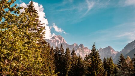 Summer day in an alpine valley of Friuli Venezia-Giulia, Italy