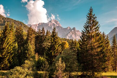 Summer day in an alpine valley of Friuli Venezia-Giulia, Italyの写真素材
