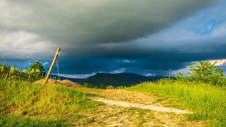 Storm in the vineyards of Friuli Venezia-Giulia, Italyの写真素材