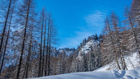 The peaks of Tarvisio in the italian alpsの写真素材