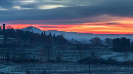 Foggy winter sunrise in the collio friulano, italyの写真素材