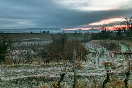 Foggy winter sunrise in the collio friulano, italyの写真素材