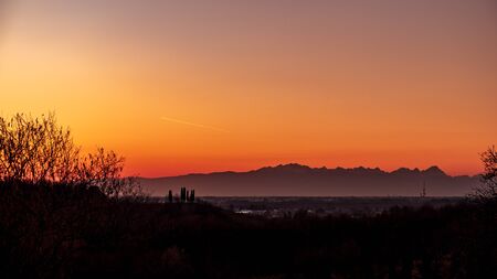 The sun goes down in the vineyards of Friuli Venezia-Giuliaの写真素材