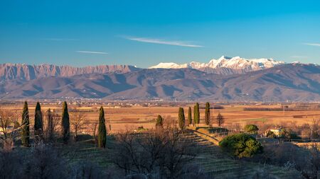 The sun goes down in the vineyards of Friuli Venezia-Giulia