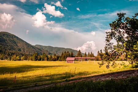 Summer day in an alpine valley of Friuli Venezia-Giulia, Italy