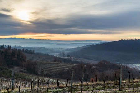 Foggy winter sunrise in the collio friulano, italy