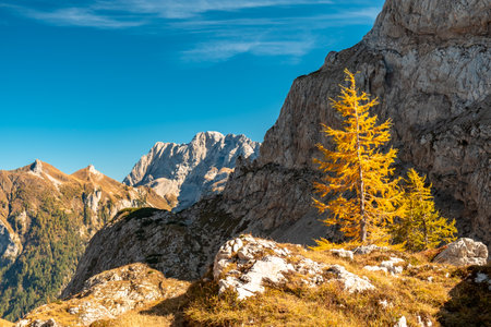 A beautiful sunny autumn day in the Alps of Friuli Venezia-Giulia, Italyの写真素材