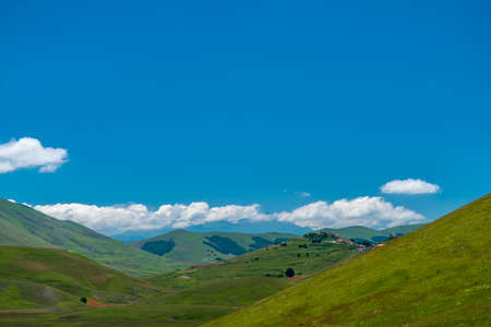 The colors of the fields of lenil full of flowers at Castelluccio di Norciaの写真素材