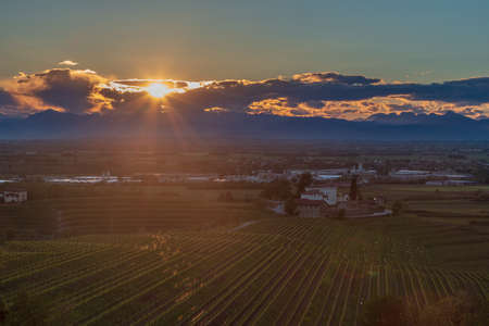 Colorful sunset in the vineyards of Rosazzo, Udine, Friuli Venezia-Giuliaの写真素材