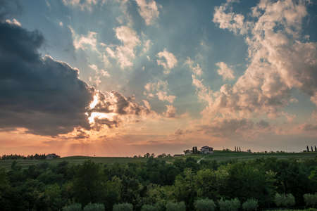 The sun goes down in the vineyards of Friuli-Venezia Giulia, Italyの写真素材