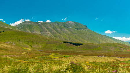 The colors of the fields of lenil full of flowers at Castelluccio di Norcia