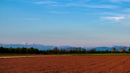 Sunset in the fields of Friuli, Italyの写真素材