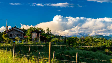 Colorful sunset in the vineyards of Rosazzo, Udine, Friuli Venezia-Giuliaの写真素材