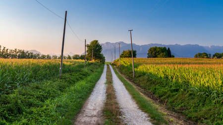 The sun goes down over the fields of Friuli Venezia-Giulia, Italyの写真素材