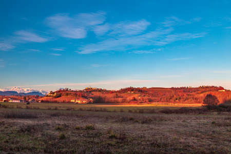 The sun goes down in the vineyards of Friuli Venezia-Giuliaの写真素材